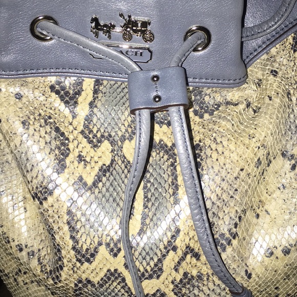 Host Pick 💙 Authentic Coach Limited Edition Blue Python 💙 - Picture 4 of 8